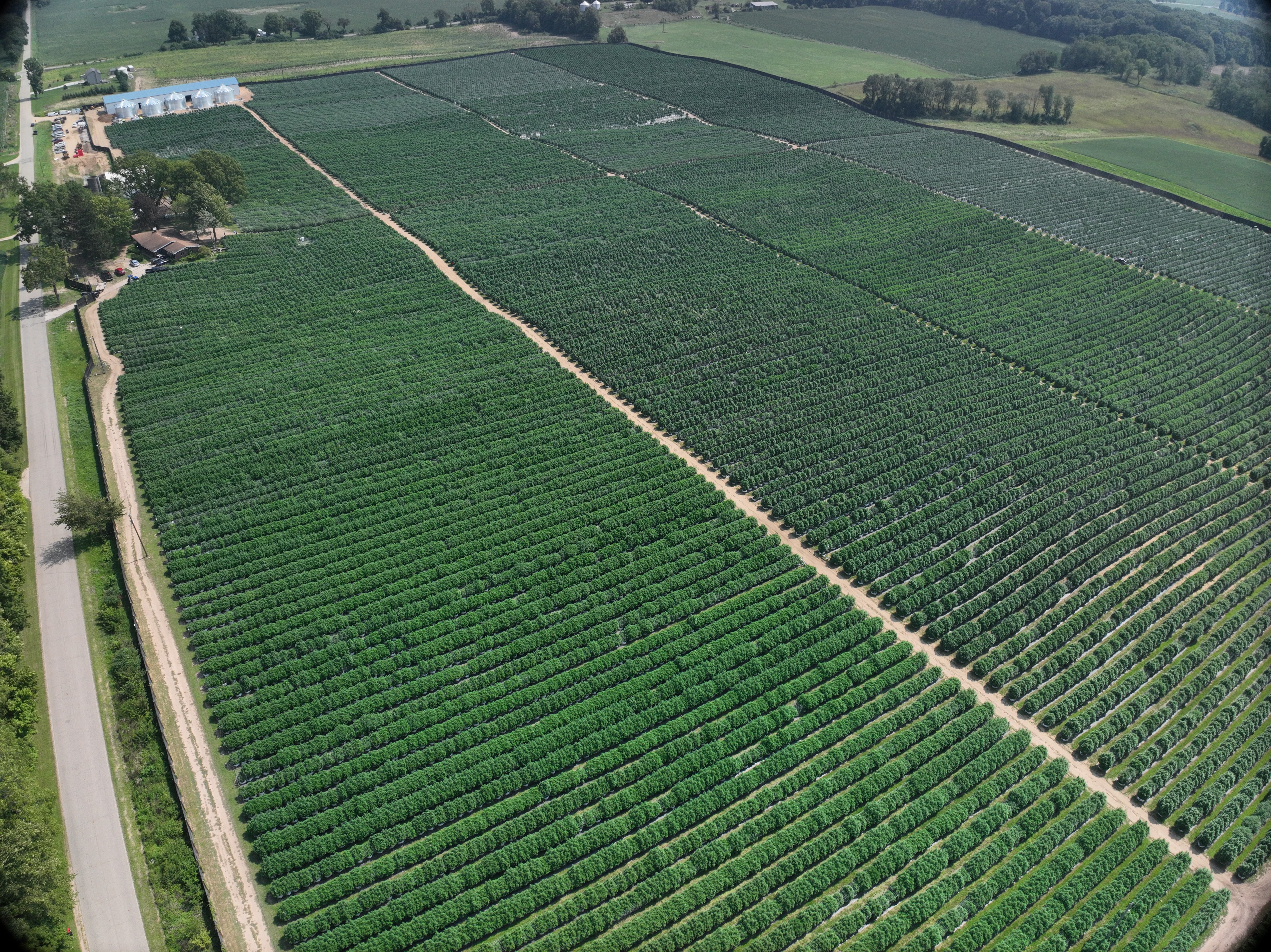 Aerial view of Grip cultivation operation, Cass County